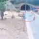İçişleri Bakanı Ali Yerlikaya, Antalya Kemer yolunda motosiklet kazasında biri